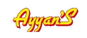 fireworks factory in sivakasi